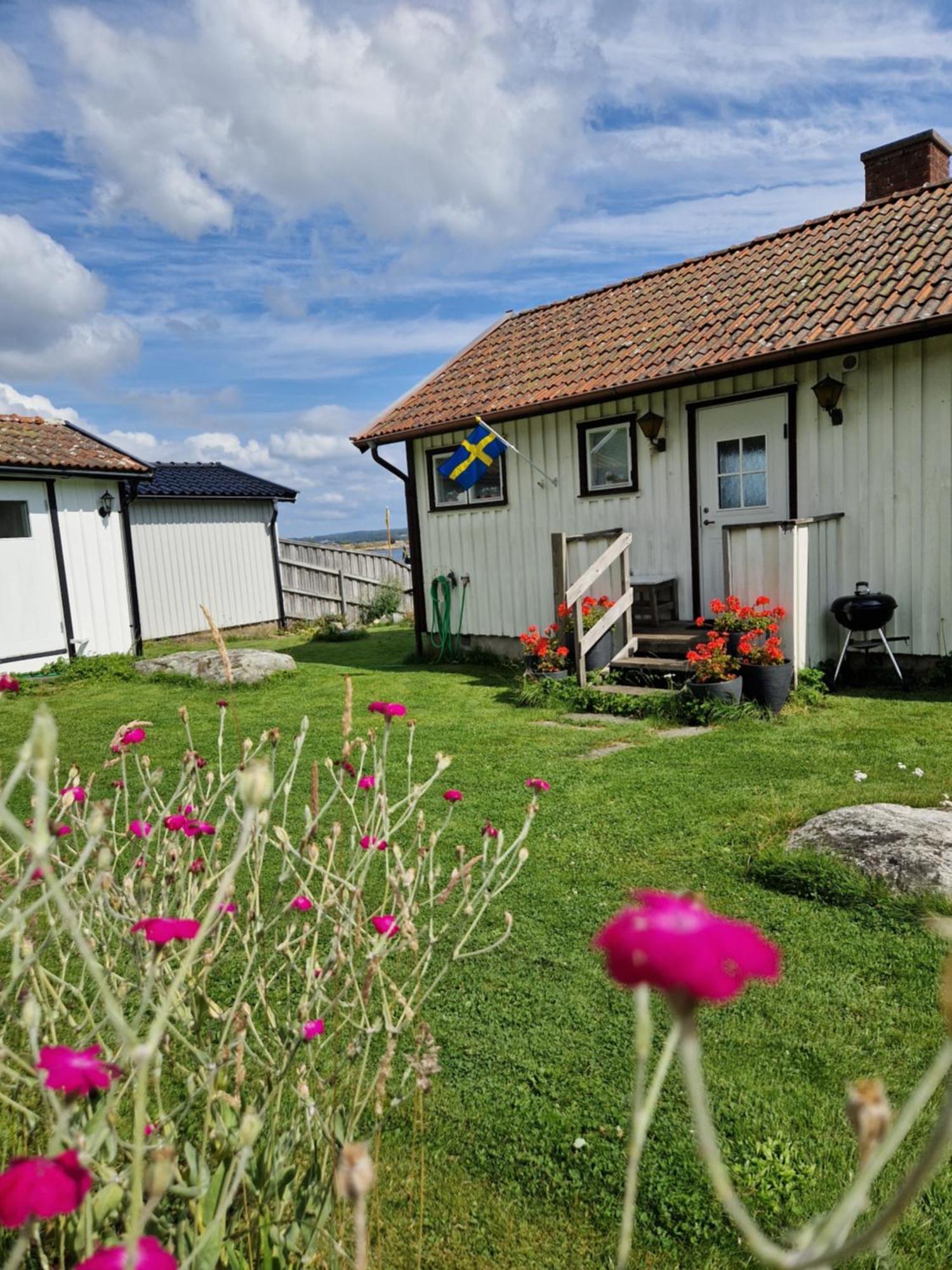 Cabin At The Sea Close To Public Beach With A Jumpingtower Hoviksnas Экстерьер фото